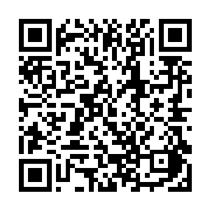 食骨部的族人们用自己的勇敢无谓证明了蛮族的血性二维码生成