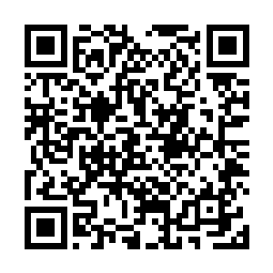 餐桌上摆的都是香气四溢只是看着就让人觉得饿的中餐二维码生成