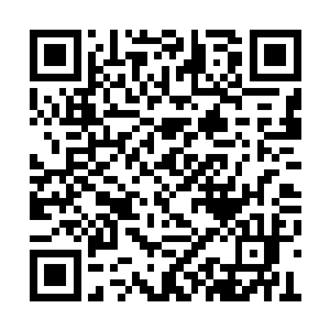 餐馆内就餐的修士们交谈的时候当然布下了禁制二维码生成