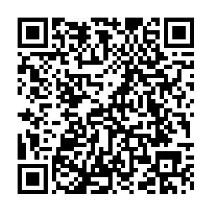 饥饿骑士的眼中也闪过了一丝和那稚嫩萝莉面庞完全不符的凝重之色二维码生成