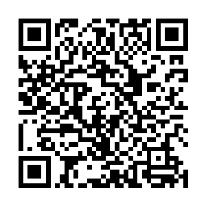 饱含真龙之气的震动真元与血王绝杀激烈的撞击在一起二维码生成