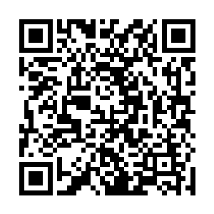 饶是以龙傲天的天赋异禀也是渐渐的感觉有些吃不消了二维码生成
