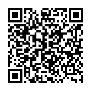 饶是古无心的面前凝聚起一重重晶莹剔透的灵能壁障二维码生成