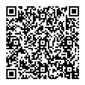 饶是同是轰子组合成员的金泰妍和权侑莉也没有想到自己这群姐妹听到这个消息之后是这个样子的二维码生成