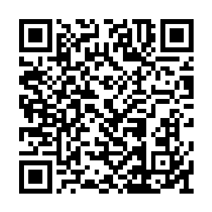 饶是眼前的云华依然达到了大罗金神初期的境界二维码生成