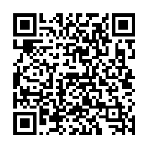 饶是经历过比这还要血腥很多的龙野也不由得头皮发麻二维码生成