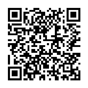 首先不能确定是不是要把两颗石头蛋给扔进龙焰池二维码生成