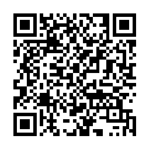 首先其他两族神殿和王城都要向白角族神殿送去祝福和贺礼二维码生成