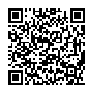 首先必须要找到留下有苗毅法印的物品才能核对二维码生成