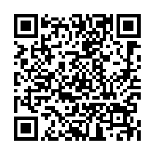 首先映入眼帘的图片是一张身材圆润丰满的女子二维码生成