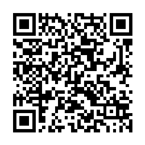 首先是系统设定中的系统内核名称是一个他从没见过的二维码生成