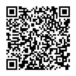 首先是请王敬之先生用格物致知的神通查看了一下越光莲雾米的种子二维码生成