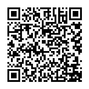 首先是那只被伯战称为不死鸟的怪异鸟到底是不是邓玮口中所说的那只重明鸟二维码生成