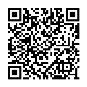 首先由李耀对所有人的晶铠进行了一番快速检修二维码生成