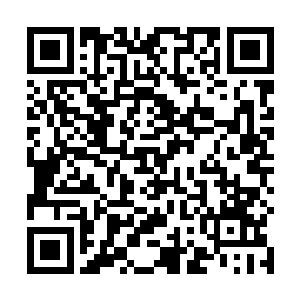 首先看你论文的是哈弗的詹姆斯教授手下的博士生詹森二维码生成