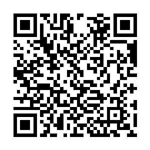 首先要做的第一件大事就是解决这里的高级灵脉了二维码生成