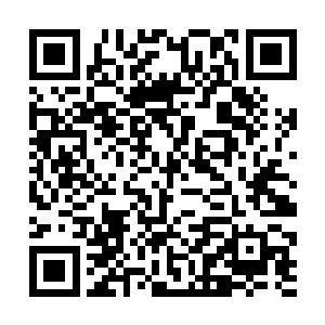 首先赶过来的是常务副县长赵丰年和他的秘书马传武二维码生成