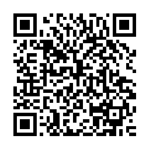 首次将一埕新酿的百花酒进献给当时任国子监祭酒严嵩的场景二维码生成