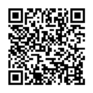 首相大人旁边的一个年轻男子迫不及待跳了出来二维码生成