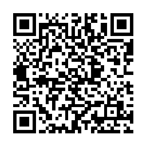 香兰还不知林锦楼为了找她已将个金陵都快翻了过来二维码生成