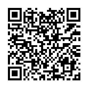 香气极其有冲击力地飘过宫墙飘向大街飘出半个城二维码生成