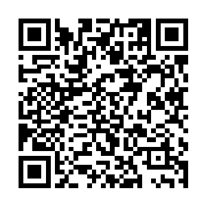 香港一家孤儿院的护工在公共厕所旁的草丛里发现他二维码生成