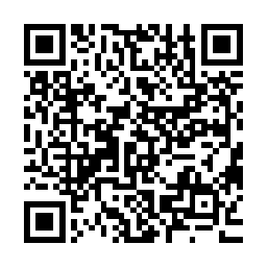 马丁・奥尼尔的信心源自一个最基本的概念――足球是集体运动二维码生成