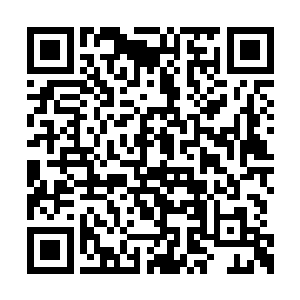 马丁会亲自为你运作一个奥斯卡最佳女配角提名二维码生成