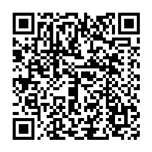 马上从空间戒指内拿出一个口袋开始大把大把的收集地面上的天星粉末二维码生成