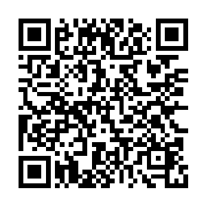 马上以村部的名义号召大家也学毕燕青养长毛兔二维码生成