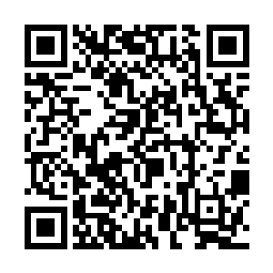 马上就被悬停在元力之海中间的一个东西给吸引住了二维码生成