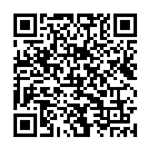 马上就要看到临海市最美的两个女人比咪咪大小了二维码生成