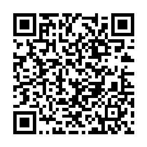 马上就选定了一个看起来防御力并不是很强的目标二维码生成