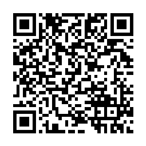 马上找到还在基地调查强|奸案的仲井真弘把事情说了一遍二维码生成