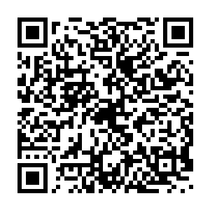 马上明白了为何在这灵天外围还有这种灵性不是太低的育灵存在了二维码生成