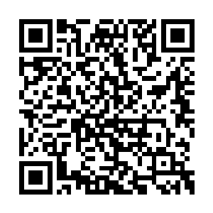 马上明白了岳南山为什么会突然坐到自己的对面二维码生成