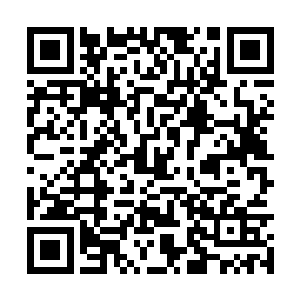 马上派出家族所有护卫追查杨戬这个小杂种的下落二维码生成