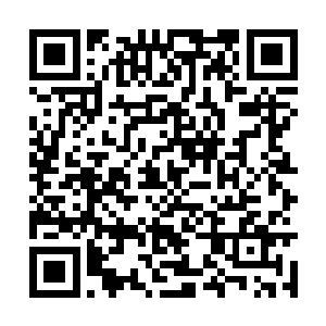 马俊成自打自己组建了园林景观设计工程公司之后二维码生成