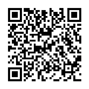 马兰刚刚睁开腥松的睡眼就听到一阵兴奋的敲门声二维码生成