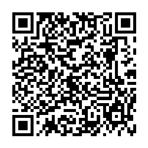 马加山的秘书张恒和办公室主任宋艺林亲自带领办公室的年轻人们燃放礼二维码生成