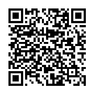 马加特在庆祝完进球之后和助理教练亨克相视一笑二维码生成