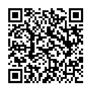 马加特星际航空前期花费了巨大代价才维系起来的航运同盟二维码生成