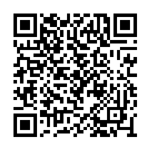 马和两位夫人以及马煜简单吃完一餐家常便饭后二维码生成