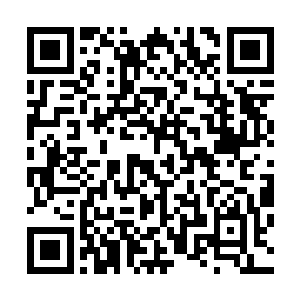 马哈代夫关于这个青年城的招投标工作已经面向全球展开了二维码生成