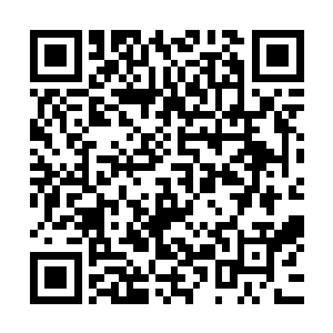 马坡镇的领导人也开着镇里的一辆破桑塔纳和一辆面包车来了二维码生成