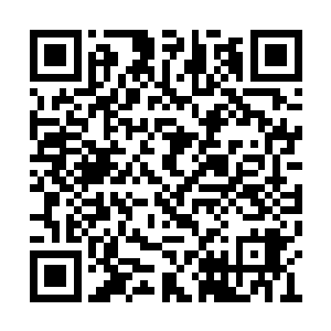 马家暂时也算保住了自己家族在猎海联盟的地位二维码生成