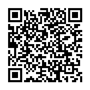 马尔布已经有些癫狂的脸上此时充满了神圣之色二维码生成