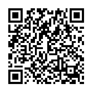 马尔斯等人最多半年的时间之后就会从玄级晋级二维码生成