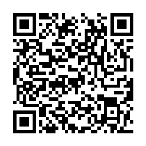 马戈尔学院圣杯争夺战资格赛的最后一战正式打响二维码生成