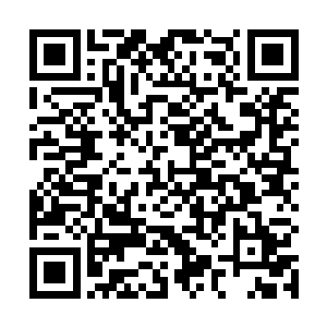 马文一直想要去宝石湾聘请一名或者两名职业训练导师二维码生成